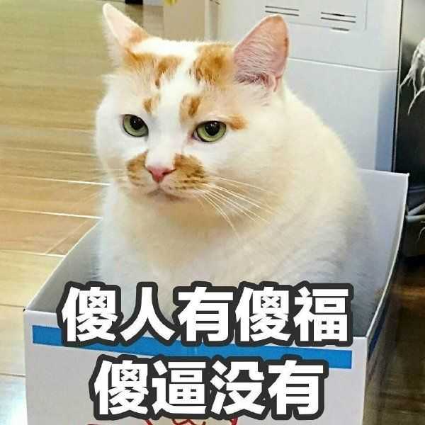 有哪些搞笑的沙雕头像?