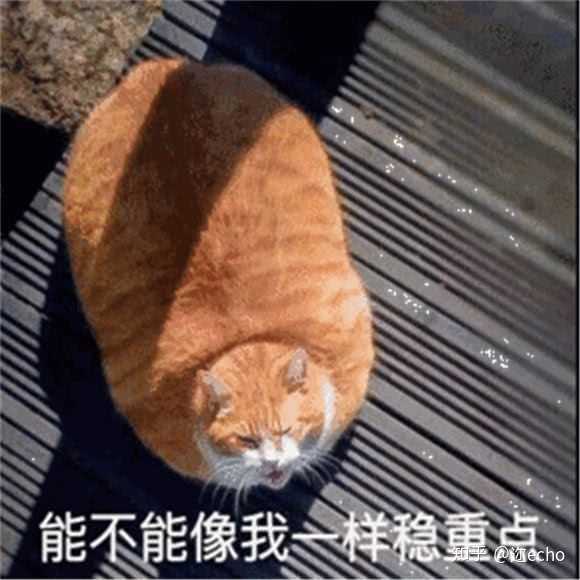 (不,你还有肥胖)