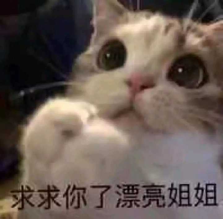 有哪些可以哄女朋友的表情包?