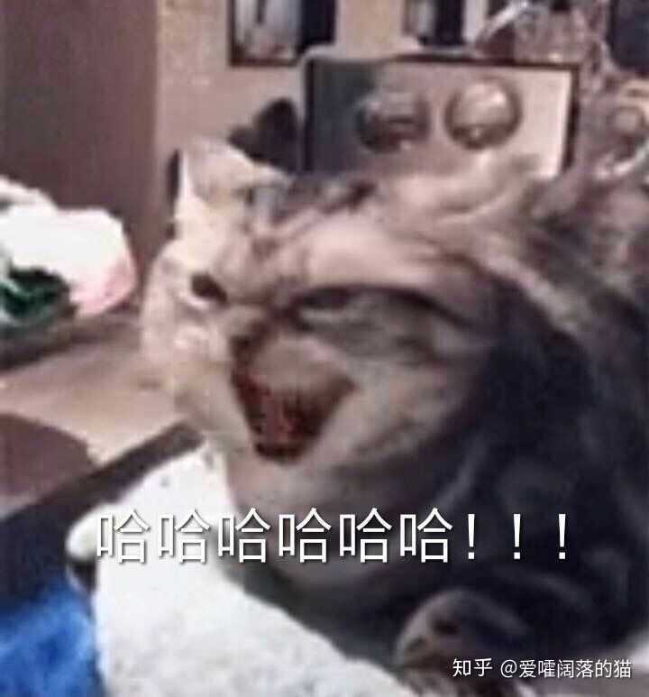 有哪些沙雕表情包?