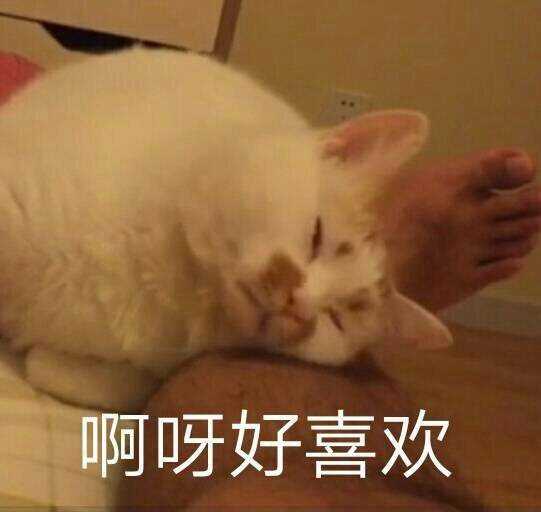 嘴唇有点干,要不要亲我一下试试看(////)