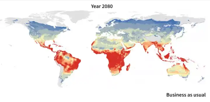 如果二氧化碳排放量维持现在水准,2080年埃及伊蚊的活动范围  图源