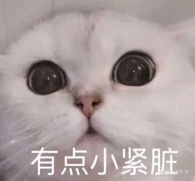 够可爱嘛 下回发点沙雕的 你们看见了要给我点赞啊 嘻嘻