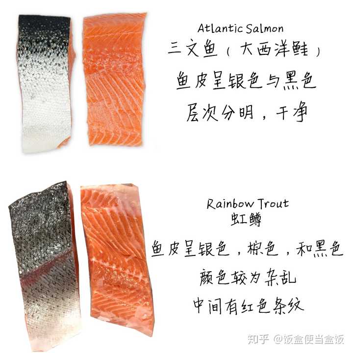 其实并不仅仅是条纹,虹鳟鱼的鱼皮在很多地方都和大西洋鲑有着天差地