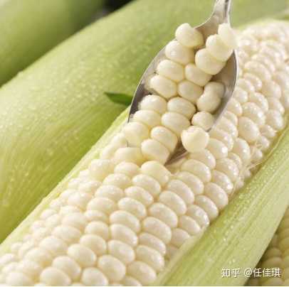 玉米当主食一次吃多少量最好?
