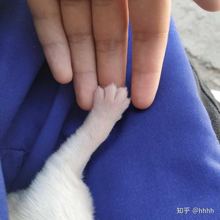 女生手小是什么体验?