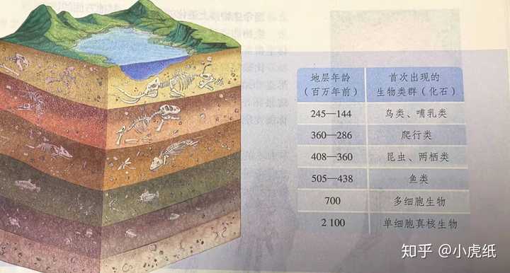 地球上所有的生物有一个共同的祖先吗?