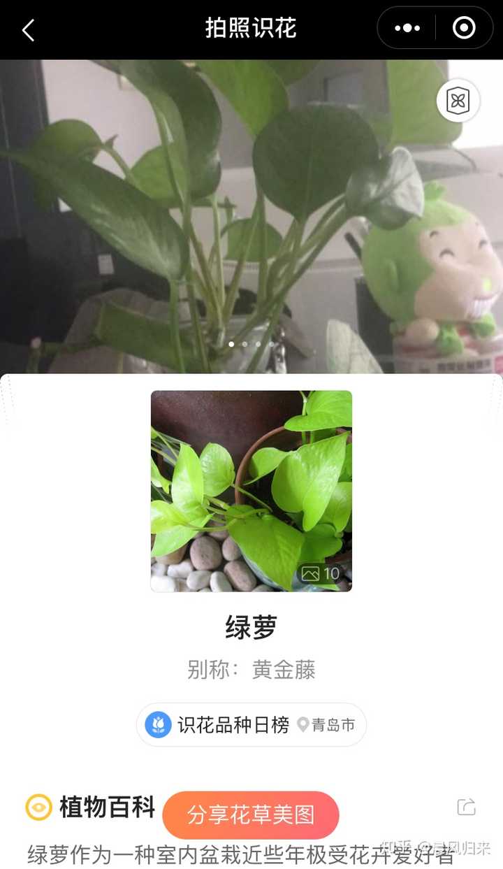 微信有哪些好用的小程序?