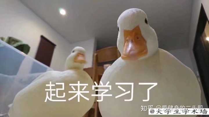 所以题主加油!奥力给!