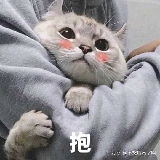 你有哪些跟「认错」相关的表情包?