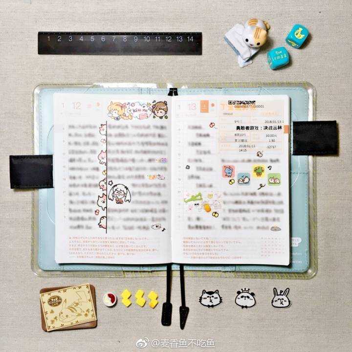 各路大佬的手帐都是怎么做的?