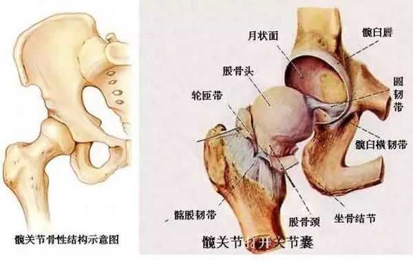 全身多处关节弹响,什么原因?