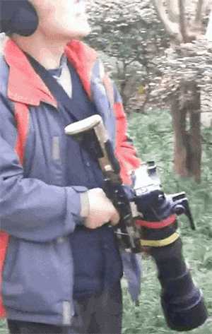 北京大爷拍鸟,愣是能把单反相机玩儿出98k狙击枪的感觉