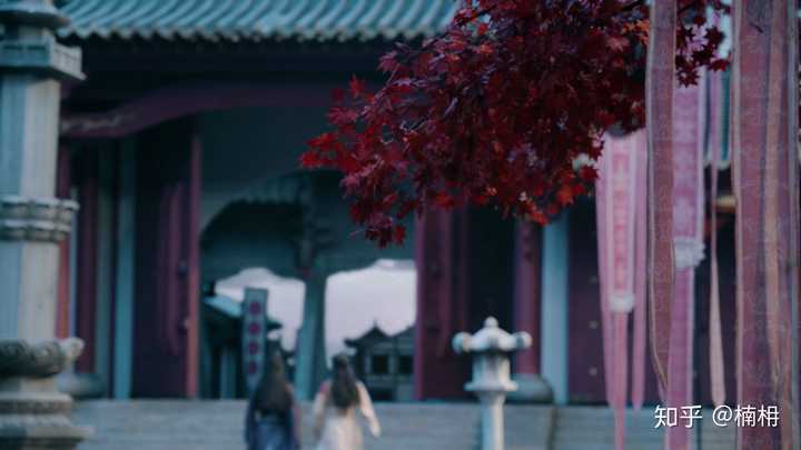 最心疼墨香铜臭《魔道祖师》里面的谁?