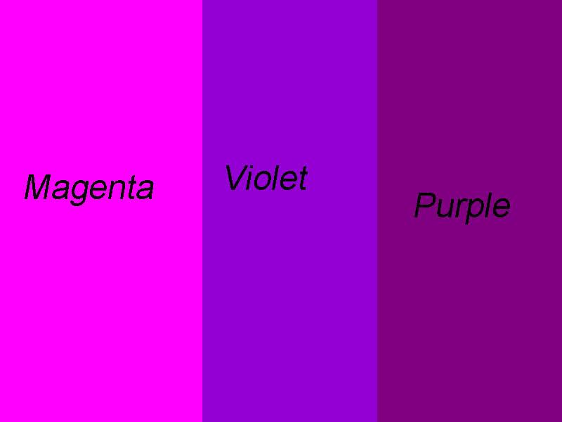 收起 匿名用户 2 人赞同了该回答 purple是泛泛而谈的紫色,是一组颜色