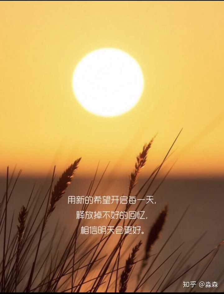 日出唤醒清晨/大地光彩重生/让和风拂出的音响/谱成生命的乐章