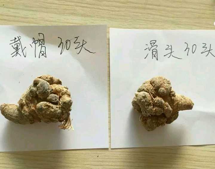 什么样的三七是好三七,怎么可以买到好三七?