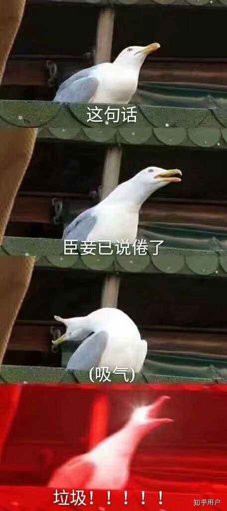 你都存了哪些沙雕表情包?