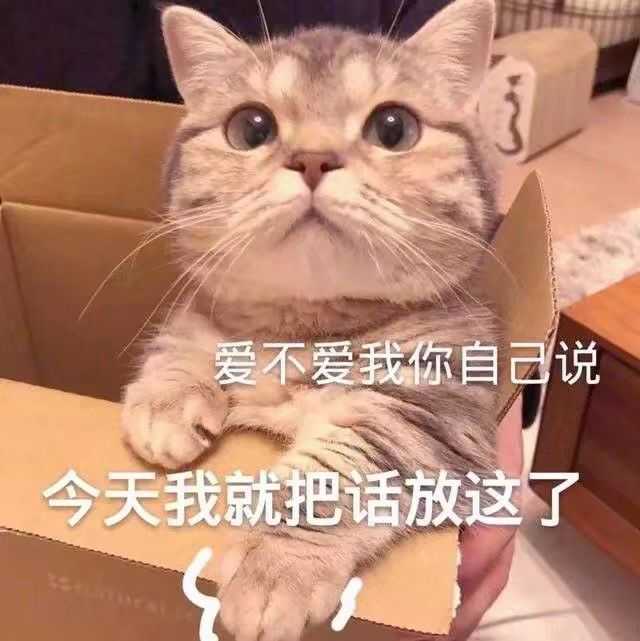 有哪些哄女朋友的表情包?