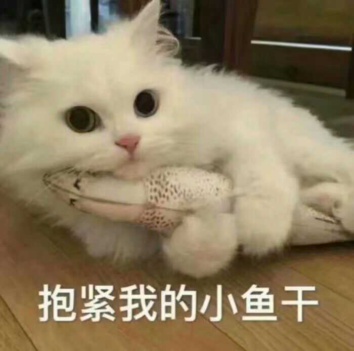 有哪些可爱的表情包?
