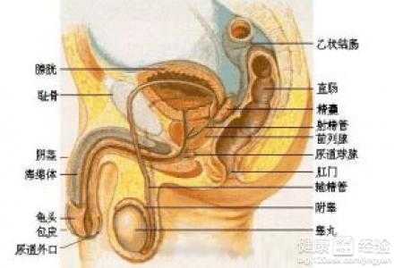 长期导尿对人体的危害有哪些?
