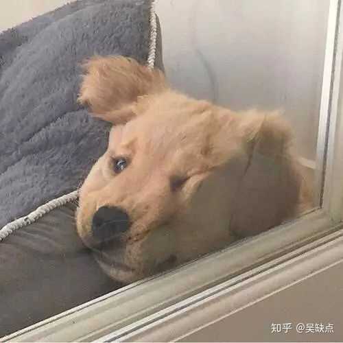 有哪些十分的沙雕头像?