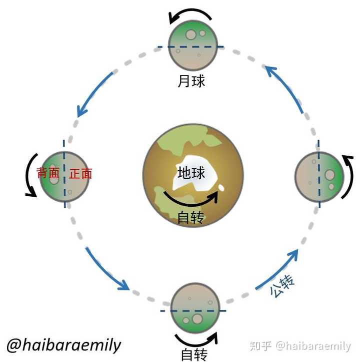 但由于月球的自转和公转周期相同(这是月球被地球的引力逐渐锁定的