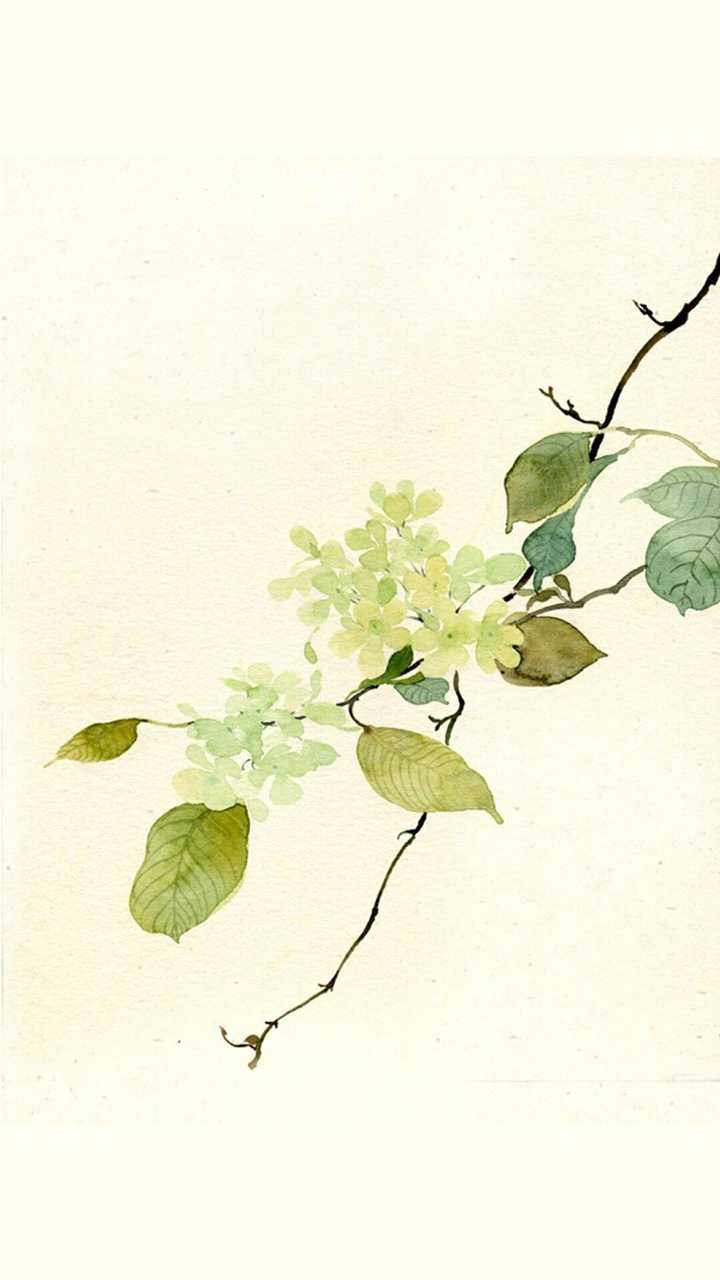 有没有素雅一点的壁纸?