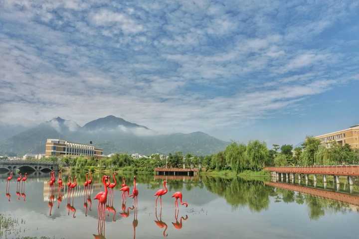 在你的印象中,福州大学是一所怎样的大学?