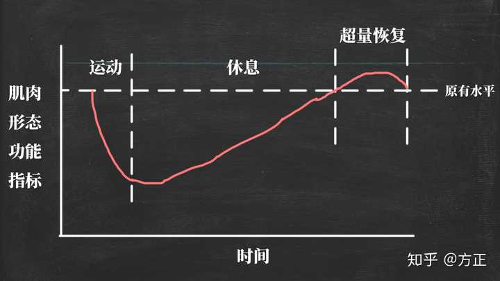 出自《运动训练学》:人体机能水平变化的曲线图