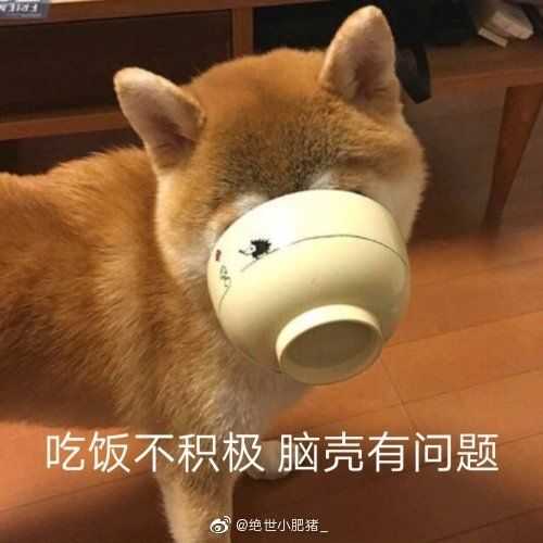 有兄弟有沙雕头像嘛?