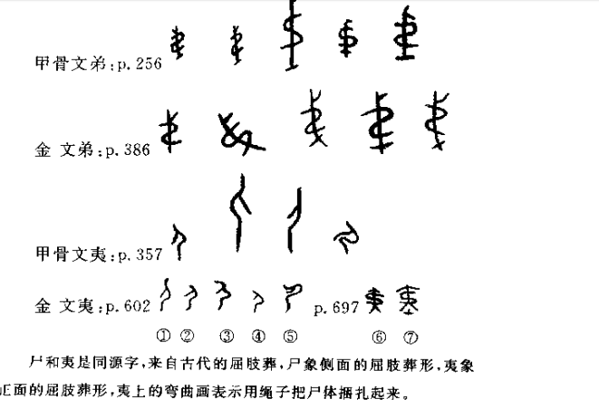 为什么甲骨文中「尸」可以通「夷」?