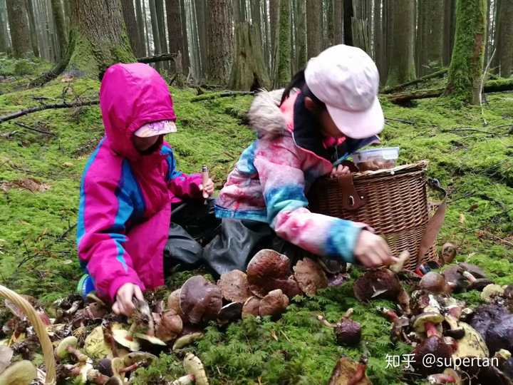 你知道采蘑菇是种什么体验吗?