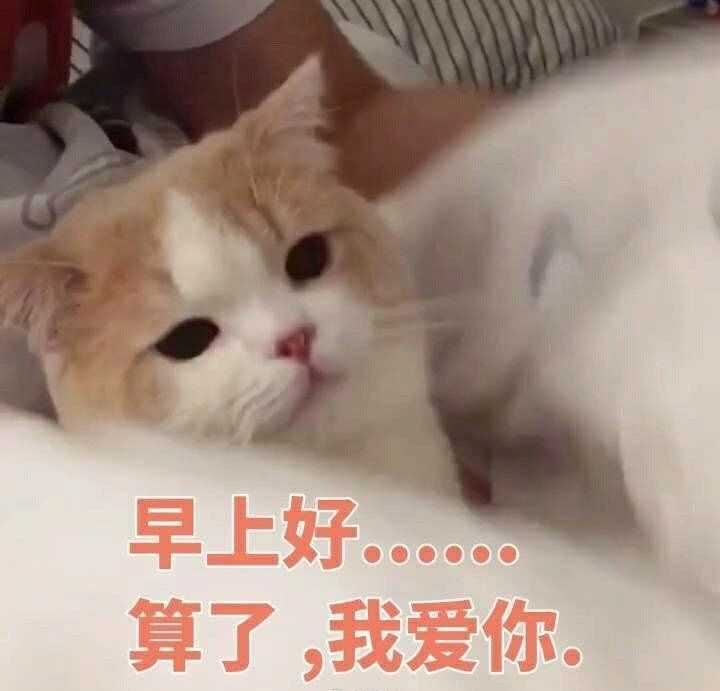 有哪些适合情侣间聊天使用的表情包?