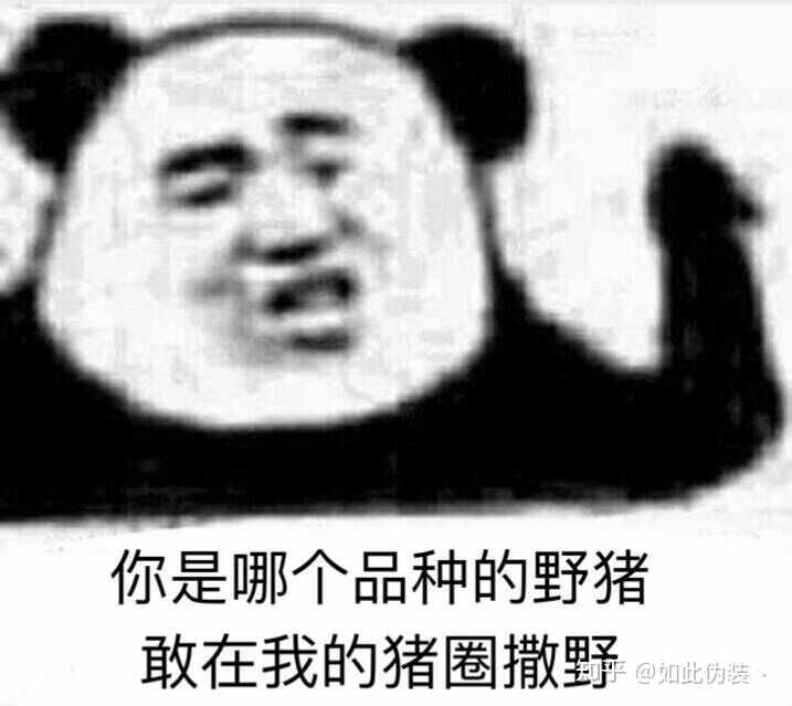 为什么总是会有人把游戏当真有一定要把游戏打好这种想法?