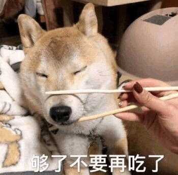 年轻人都喜欢用什么沙雕表情包?