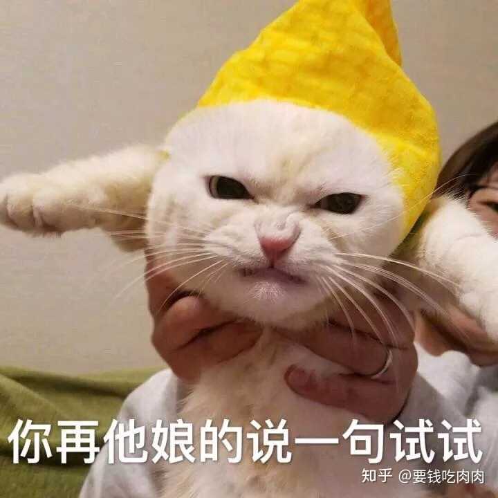 可不可以拿出你们可爱的表情包呀～ (真诚脸)?