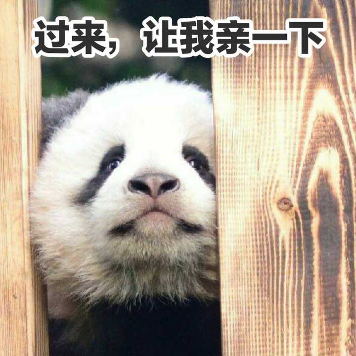 有哪些无字或者英文的表情包