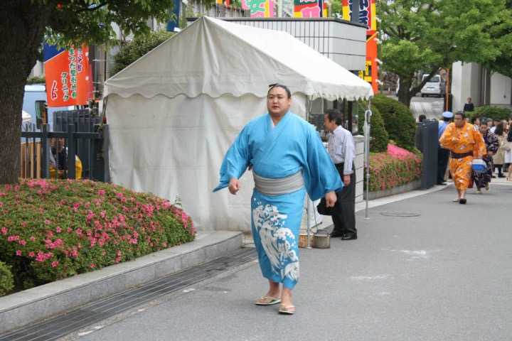 为何日本相扑选手普遍都是超级大胖子,而没有肌肉猛男