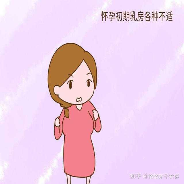 怀孕后乳房会发生什么变化?