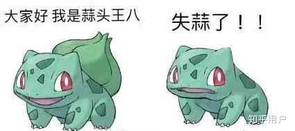 神奇宝贝中有哪些表情包巨头?
