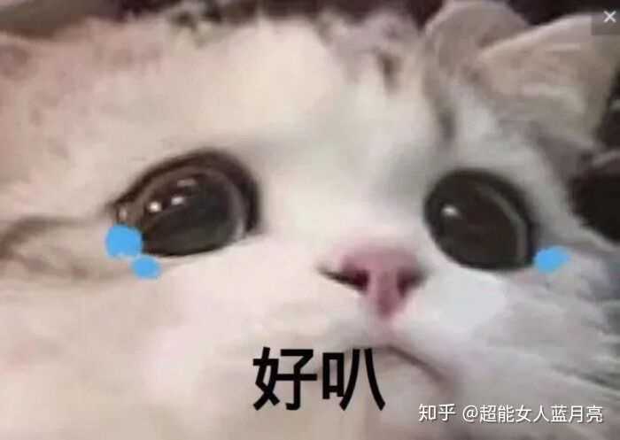 你有哪些收藏着一直舍不得用的表情包?