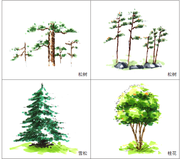 如何用马克笔画好一棵树?