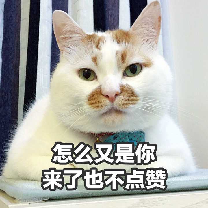 就跟上面的表情包一样吧,单身好,想跟谁好跟谁好哼.