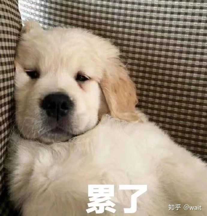 有哪些类似与下图这样的表情包?