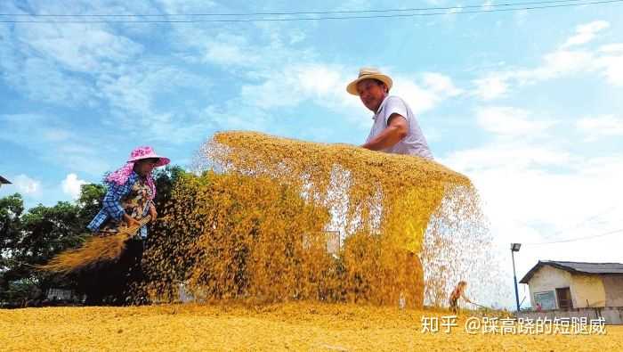 疫情尚未结束,多国禁止粮食出口,老百姓需要囤积粮食吗?