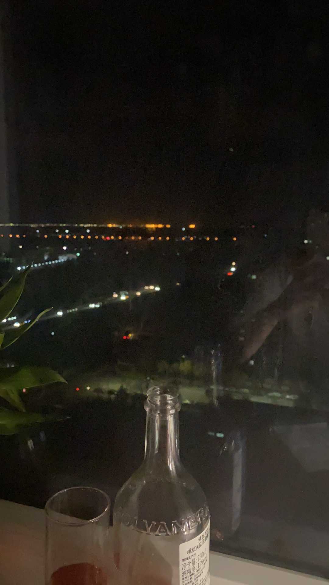 微型孤独 的想法: 酒是酒的味道,却没有喝酒的心情!