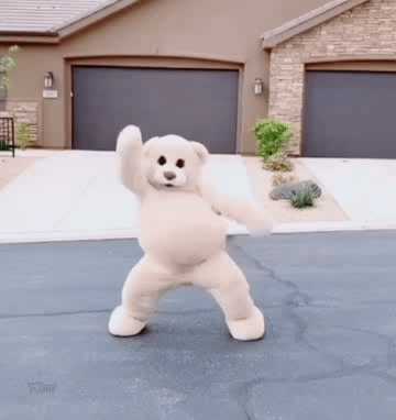 还有这种大白熊表情包么