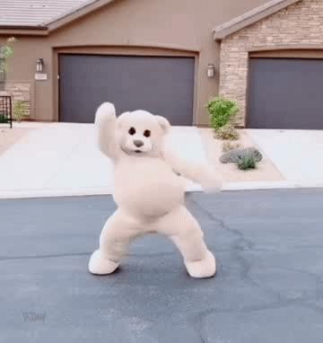有没有这个熊跳舞的表情包?