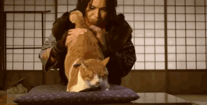 想象一下这些男子汉吸猫的样子,大概.